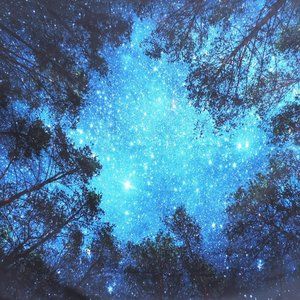 Starry Forest Tapestry